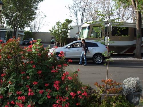 NCIS actress walking down street